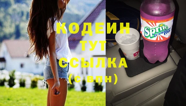 гашик Майский