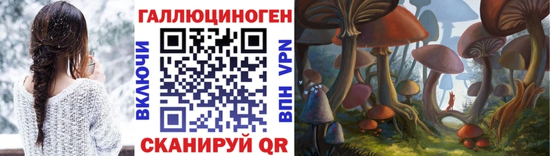 Псилоцибиновые грибы Cubensis  купить наркоту  Моздок 